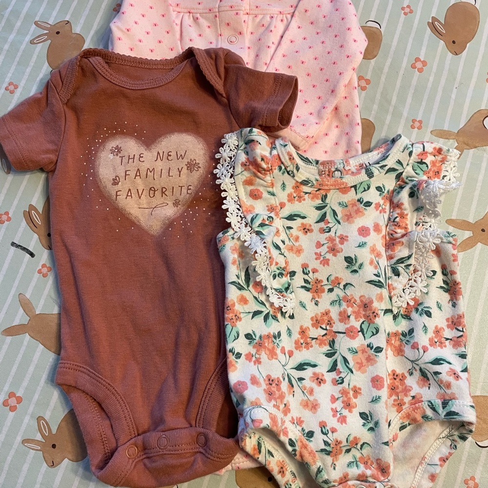 Baby girl clothing lot 3 months